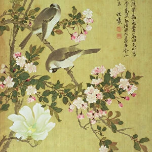 Crabapple, Magnolia and Baitou Birds (ink and colour on silk)
