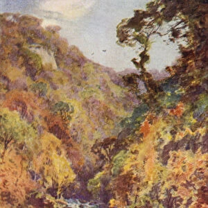 The Dargle, County Wicklow (colour litho)