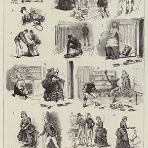 A Dog-Fanciers Strategy (engraving)