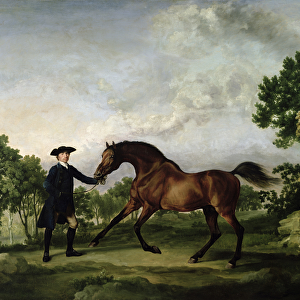 The Duke of Ancasters bay stallion Blank, held by a groom, c. 1762-5