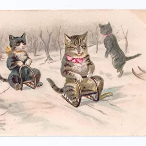Edwardian postcard of two cats on sledges in the snow, c. 1910 (colour litho)