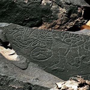Forms in the style of Tazina. Stone Age 5000-2000 BC. (engraved rock)