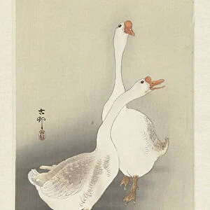 Two geese, 1900-30 (colour woodcut)