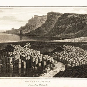 Giant basalt columns at Giants Causeway, County Antrim, Northern Ireland, 1807 (aquatint)