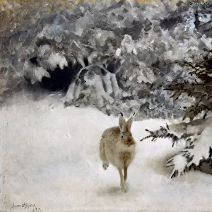 A Hare in the Snow, 1927 (oil on canvas)