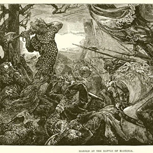 Harold at the battle of Hastings (engraving)
