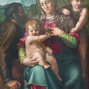 Holy family with the young st John the Baptist, 1525-35 circa, (oil on wood)