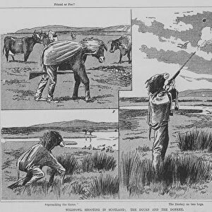 Hunter shooting wildfowl in Scotland disguised as a donkey (engraving)