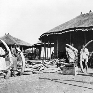 Ivory warehouses in Addis Ababa, Ethiopia, c. 1900 ( b / w photo)