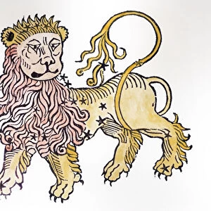 Leo (the Lion) an illustration from the Poeticon Astronomicon by C. J. Hyginus, Venice, 1485 (woodcut) (later colouration)