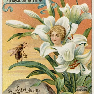 Lily and bee (chromolitho)