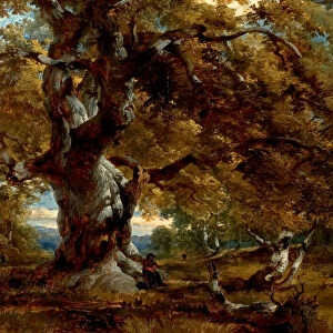 The Major Oak, 1844 (oil on wood)
