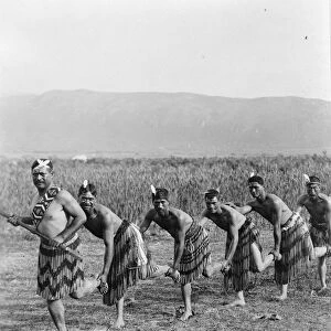 Five Maori men in traditional clothing doing a haka war dance, c. 1900 (b / w photo)