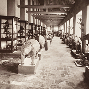 The National Museum in Bangkok, c. 1890 (b / w photo)