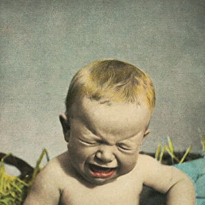 The nightingale: baby crying (coloured photo)
