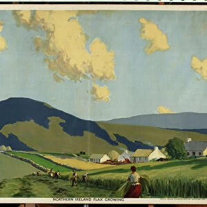 Northern Ireland - Flax Growing, from the series The Home Countries First (colour litho)