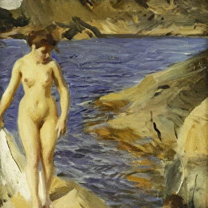 Nudes; Nakt, 1902 (oil on canvas laid down on board)