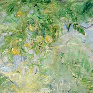 Orange Tree Branches, 1889 (oil on canvas)