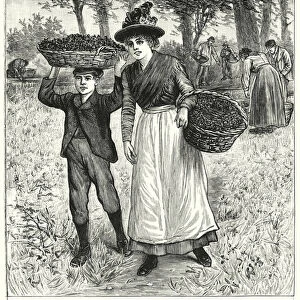 A Peep at the Watercress Beds and Gatherers at Work (engraving)