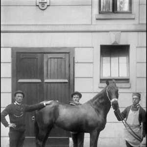 Portrait of the employees and a horse of Count Ducos, in Paris. Photograph, circa 1870-1886, by Paul Emile Theodore Ducos (1849-1913)