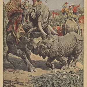 A rhinoceros attacking an elephant in India (colour litho)