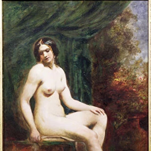 Seated Female Nude (board)