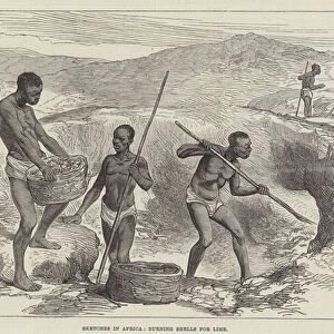 Sketches in Africa, burning Shells for Lime (engraving)