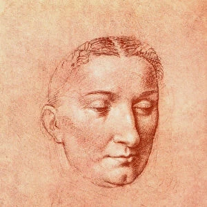 Study for the head of a saint, drawing by Leonardo da Vinci. Gallerie dell Accademia, Venice