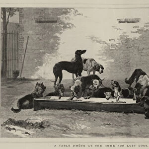A Table d Hote at the Home for Lost Dogs, Battersea (engraving)