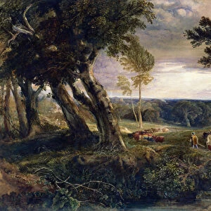 Tilgate Forest From Near Bolney, Sussex, 1843 (oil on canvas)
