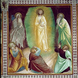 Transfiguration of Christ, from a series of Scenes of the New Testament (fresco)