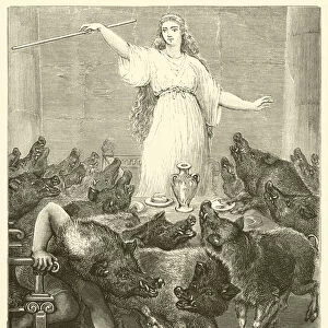 The unhappy Greeks turned into Swine (engraving)
