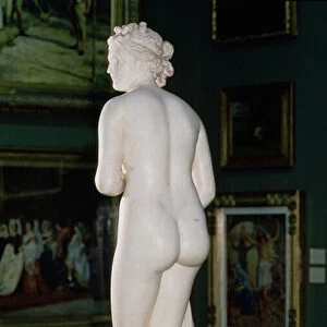 Venus (The Hope Venus), 1818-20 (marble) (see 139522)