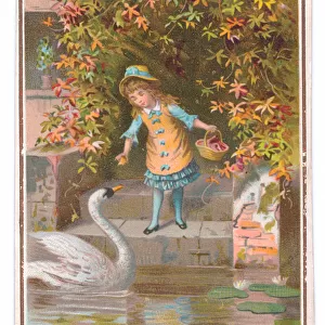 A Victorian Birthday card of a girl feeding a swan, c. 1880 (colour litho)