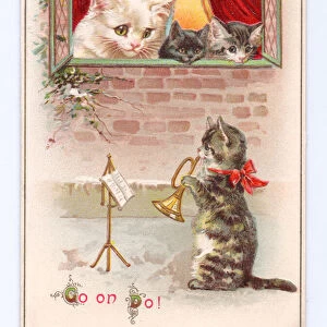 A Victorian greeting cards of a kitten playing a bugle watched by a cat and two kittens