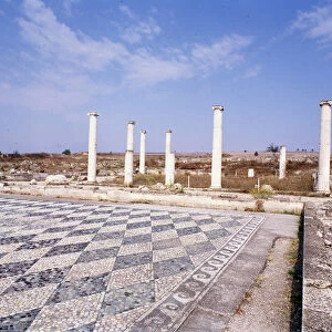 View of the ruins of the Atrium with pebble mosaic, 4th century BC