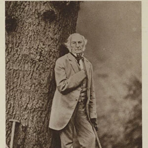 William Ewart Gladstone at Hawarden (b / w photo)