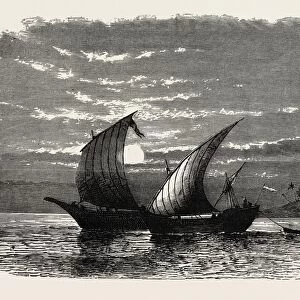 ARAB DHOWS ON THE RED SEA. Dhow is the generic name of a number of traditional sailing