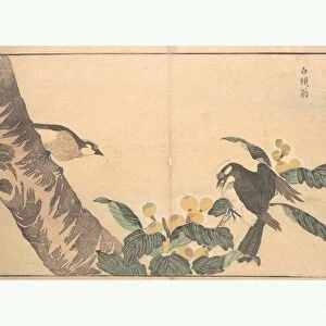Bai tou weng Edo period 1615-1868 1789 Japan