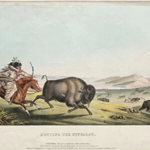 Hunting Buffalo 1837 E C Biddle American John T