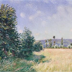 Sahurs Meadows Morning Sun 1894 Oil canvas 28 3 / 4 x 36 1 / 4