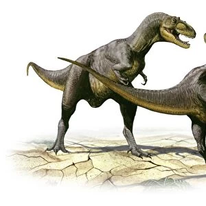 Alectrosaurus olseni, a prehistoric dinosaur