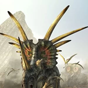 A charging Styracosaurus