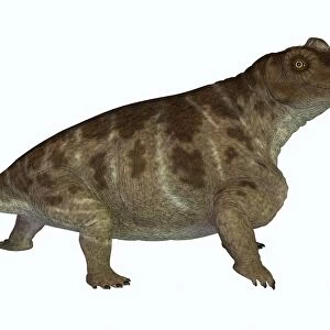 Keratocephalus, a semi-aquatic dinosaur from the Permian Age