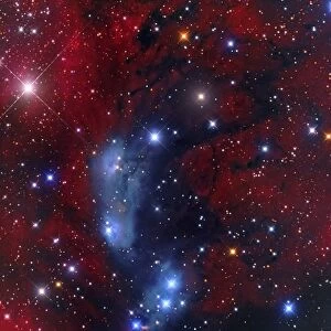 NGC 6914, a reflection nebula in Cygnus