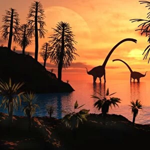 A pair of Omeisaurus dinosaurs from the Jurassic period of time