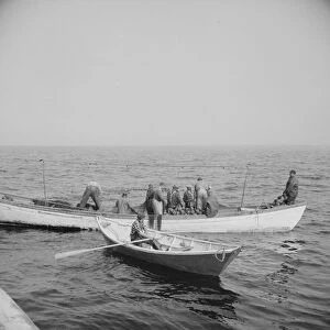 On board the fishing boat Alden, out of Gloucester, Massachusetts, 1943. Creator: Gordon Parks