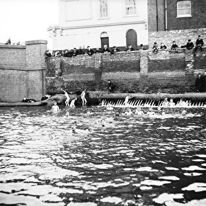 Boys bathing in a sluice on the Grand Union Canal, London, c1905