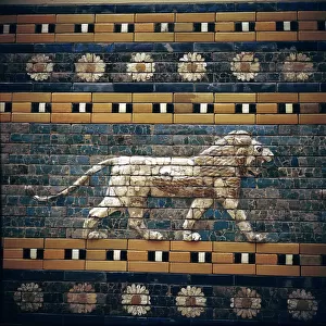 Brick relief of a lion on the walls of the Sacred Way leading to the Ishtar Gate, Babylon, c580 BC