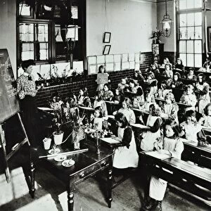 Nature lesson, Class IIIB, Albion Street Girls School, Rotherhithe, London, 1908